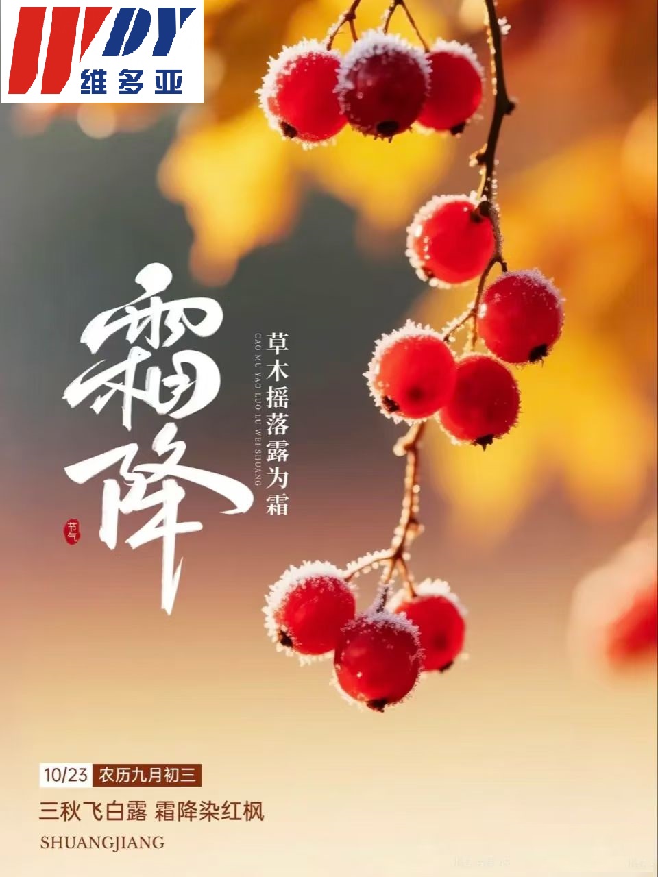 1761185061774257.jpg 霜降.jpg