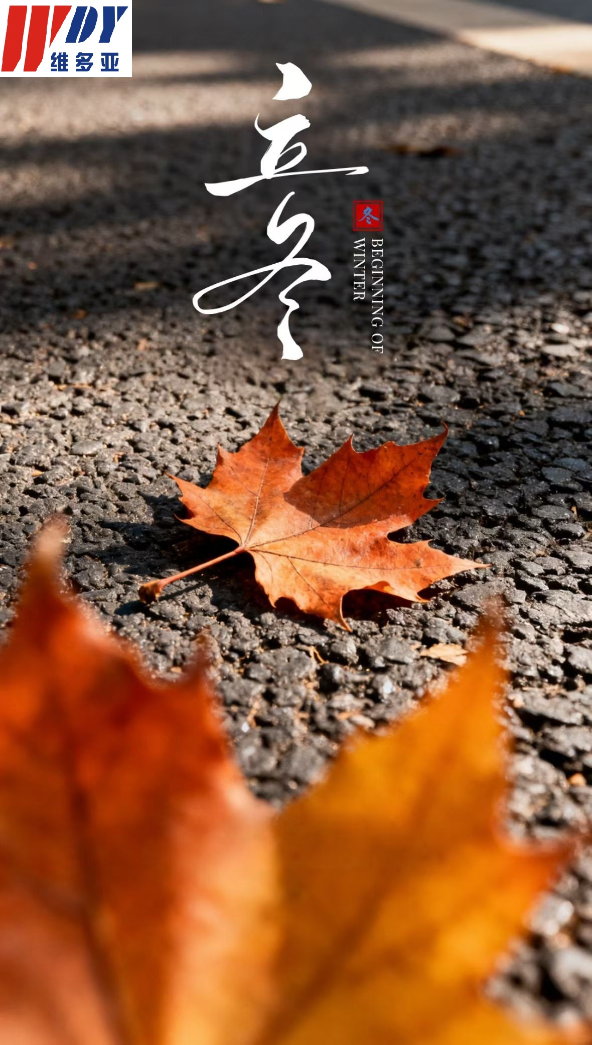 1762481107645894.jpg 立冬.jpg